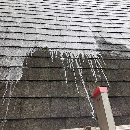 Loudoun county roof moss removal why soft washing is the only safe solution for your asphalt shingles
